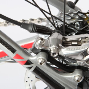 A shimano centrelock rotor.